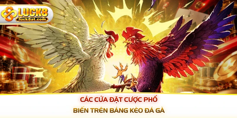 Các cửa đặt cược phổ biến trên bảng kèo đá gà