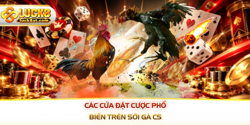 Các cửa đặt cược phổ biến trên sới gà C5
