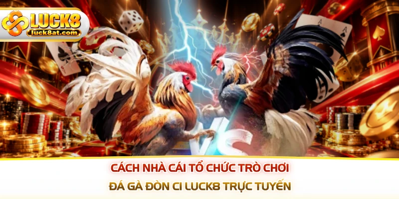 Cách nhà cái tổ chức trò chơi đá gà đòn C1 LUCK8 trực tuyến