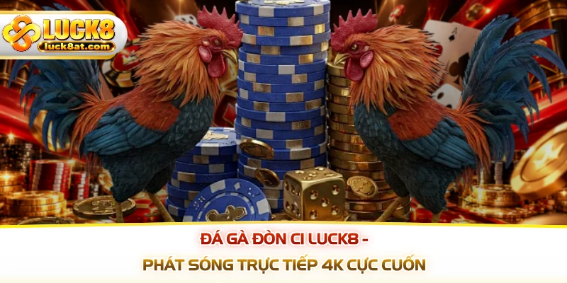 Đá Gà Đòn C1 LUCK8 - Phát Sóng Trực Tiếp 4K Cực Cuốn